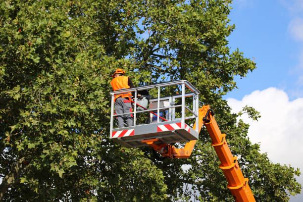 Tree Removal for Businesses in Marbury, AL